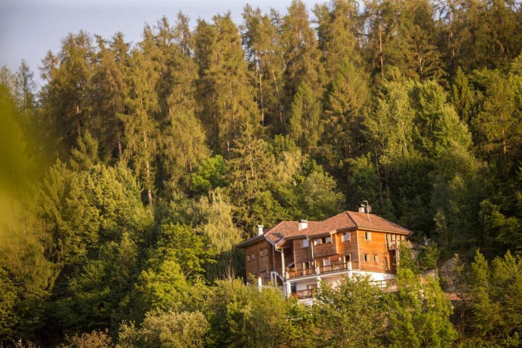 App Schlossblick - Wohnung Hammerwand 2 Umes Dış mekan fotoğraf